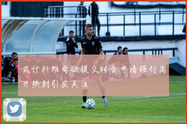 武什科维奇欲提交转会申请强行离开热刺引发关注